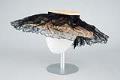 Image of Cream colored straw hat with black lace, 1947